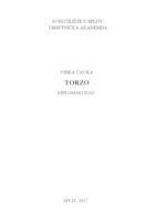 prikaz prve stranice dokumenta Torzo